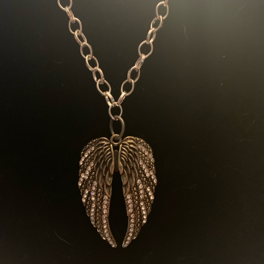 Beautiful wings